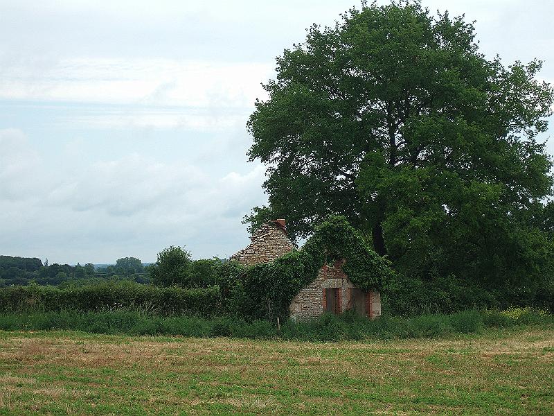 2010-05- (7).JPG - Immer weniger Weinbau, dafür ist die Landschaft vielfältiger